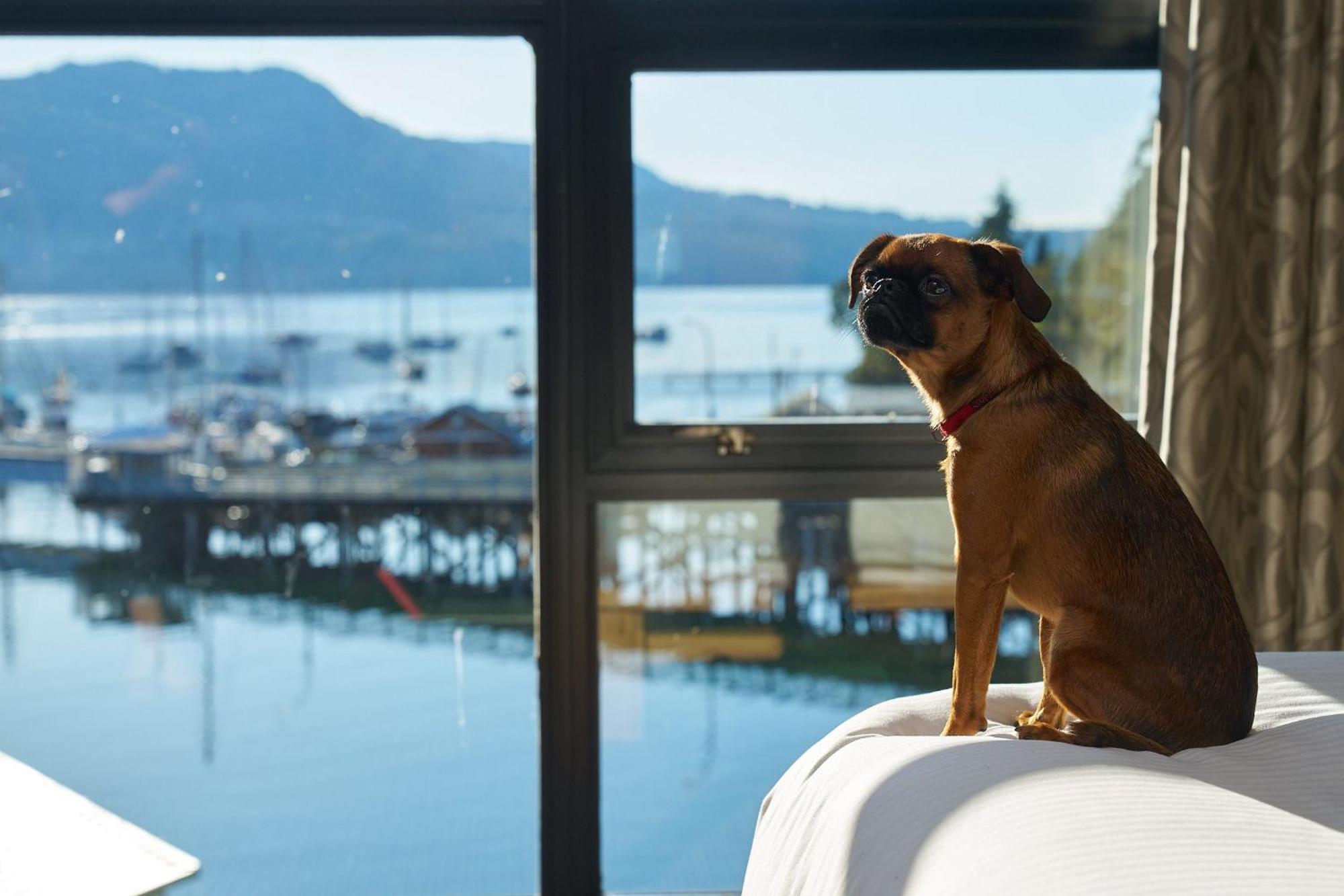 Brentwood Bay Resort & Spa Ngoại thất bức ảnh
