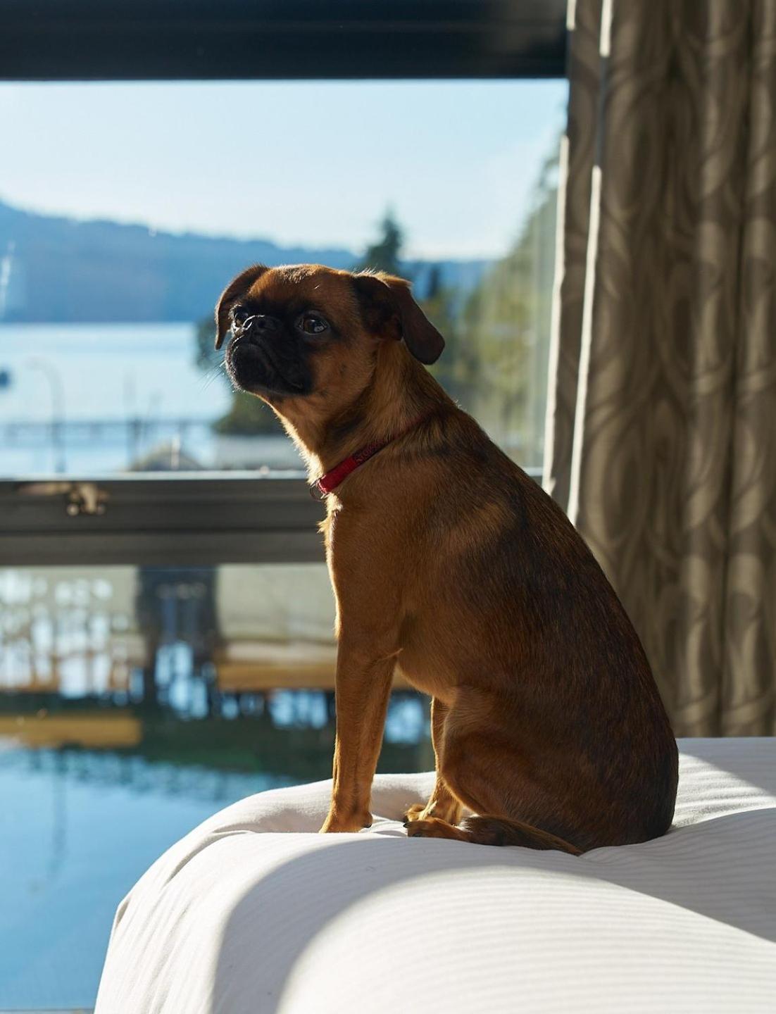 Brentwood Bay Resort & Spa Ngoại thất bức ảnh